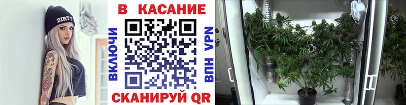 Что такое Каменск-Уральский ГАШИШ  КЕТАМИН  Меф  Кокаин  Альфа ПВП  Амфетамин 