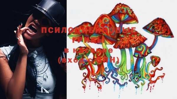 прущая мука Зеленодольск