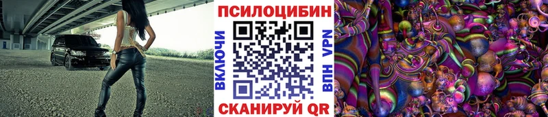 KRAKEN зеркало  Каменск-Уральский  Псилоцибиновые грибы Cubensis 