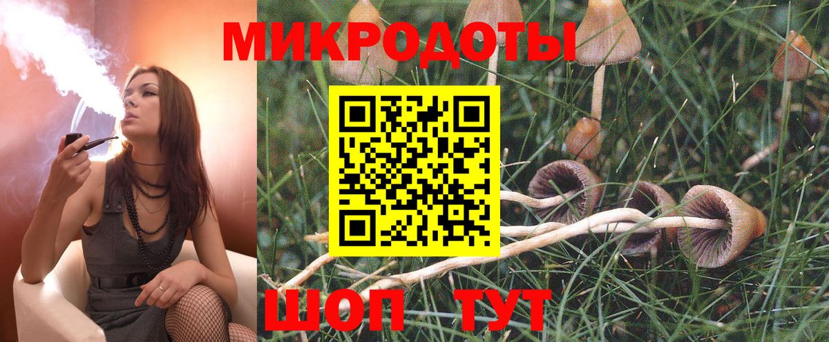 Псилоцибиновые грибы мицелий Каменск-Уральский